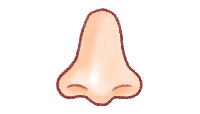 【鼻の描き方】情報まとめ