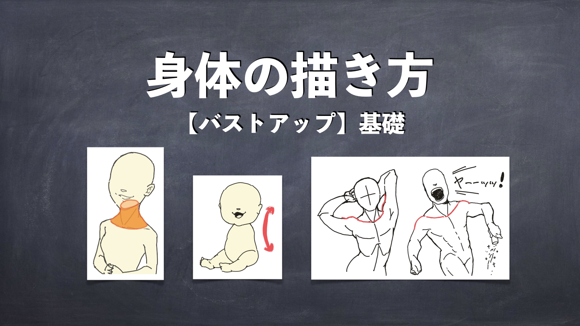 身体の描き方【バストアップ】基礎