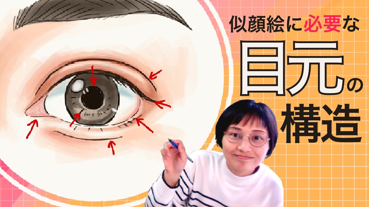 目元の構造〜似顔絵に必要な目元の知識〜