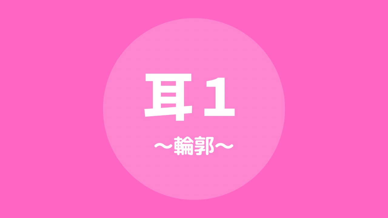 さまざまな耳を描いてみよう
