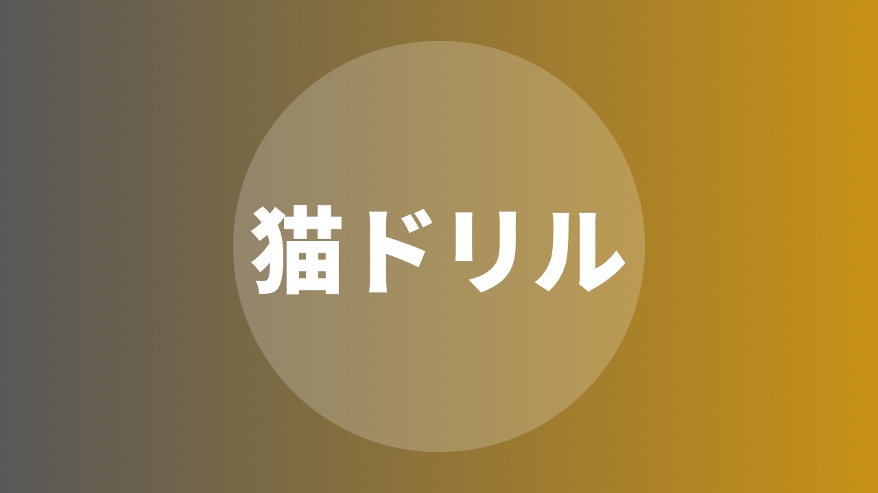 猫ドリル
