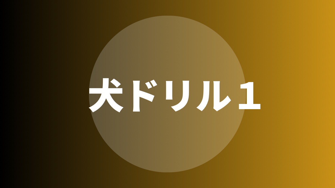 犬ドリル１