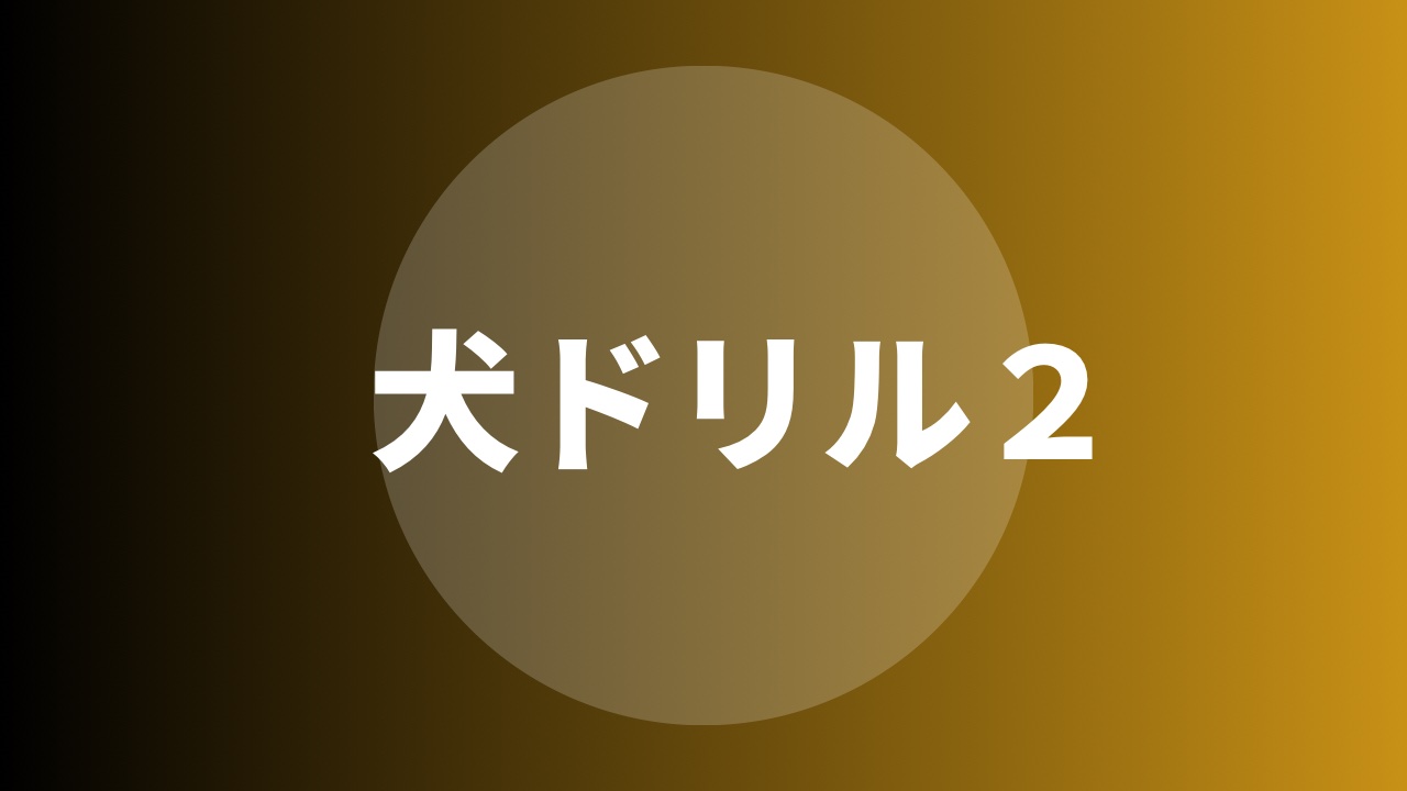 犬ドリル２