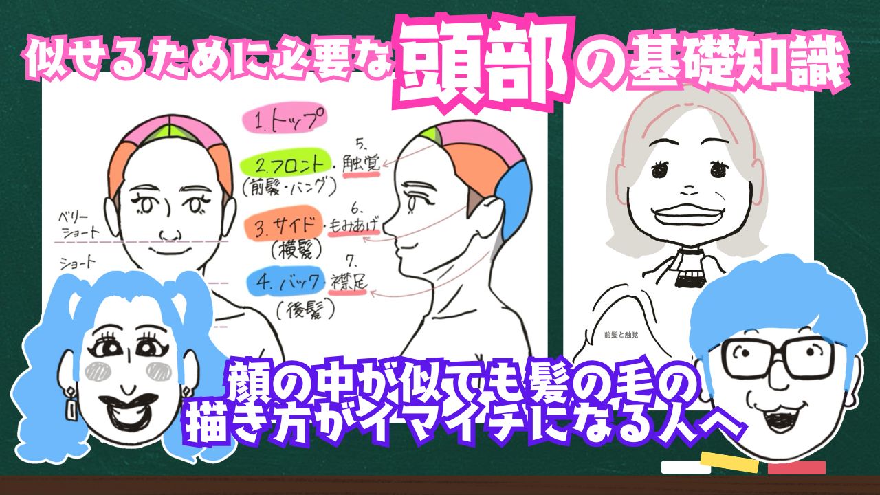 【髪の毛】頭部の基礎知識
