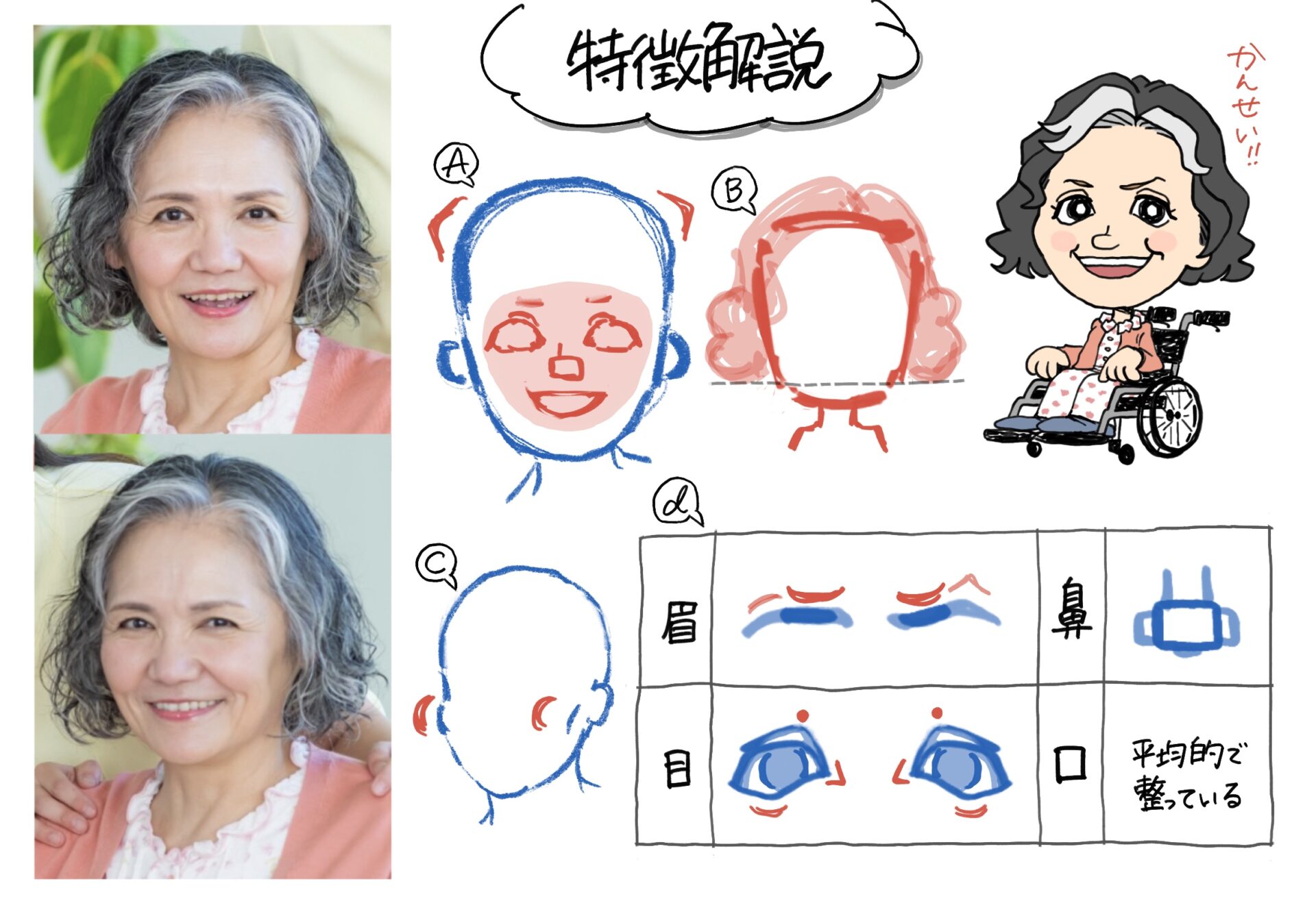 7月のニテ展/モデルの特徴解説